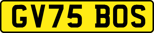 GV75BOS