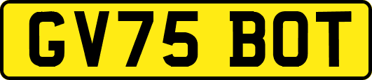 GV75BOT