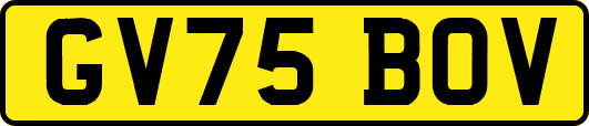 GV75BOV