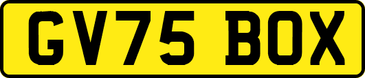 GV75BOX