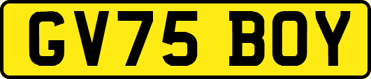 GV75BOY