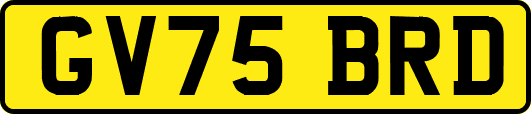GV75BRD