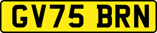 GV75BRN