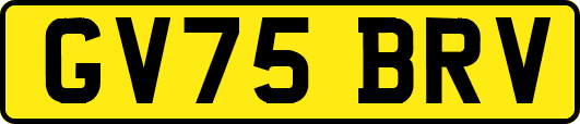 GV75BRV