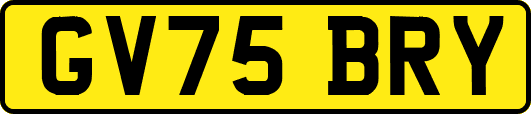 GV75BRY