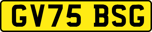 GV75BSG