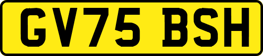 GV75BSH