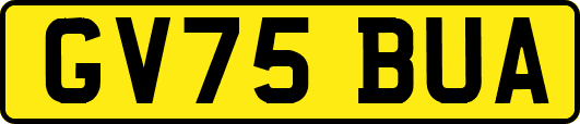 GV75BUA