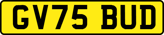 GV75BUD