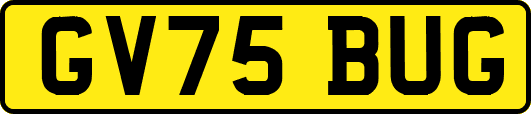 GV75BUG