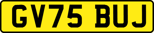 GV75BUJ