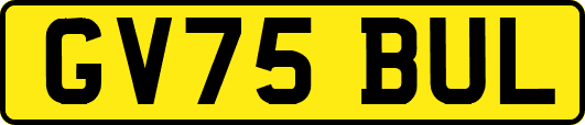 GV75BUL