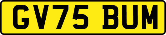 GV75BUM