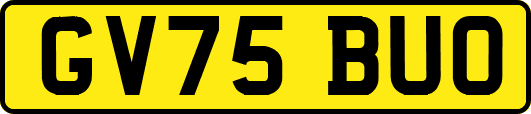GV75BUO