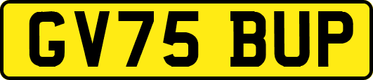 GV75BUP