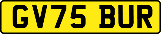 GV75BUR