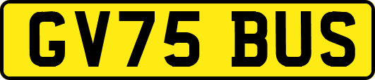GV75BUS