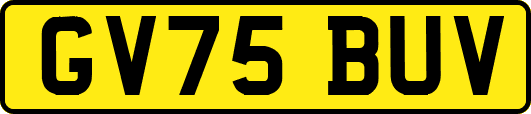 GV75BUV