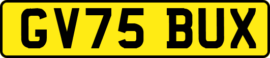 GV75BUX