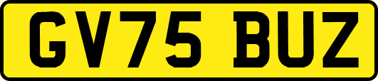GV75BUZ