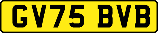 GV75BVB