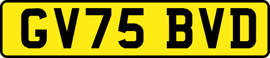 GV75BVD