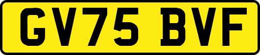GV75BVF