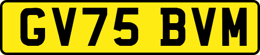 GV75BVM