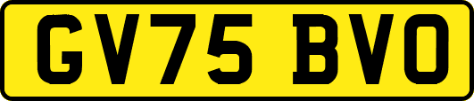 GV75BVO