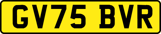 GV75BVR