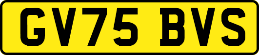 GV75BVS