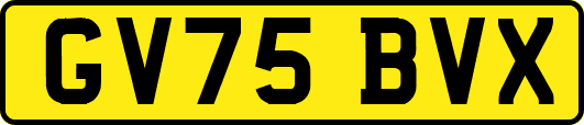 GV75BVX