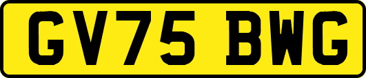 GV75BWG