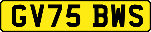 GV75BWS