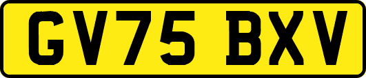 GV75BXV
