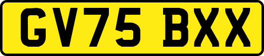 GV75BXX