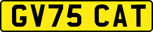 GV75CAT