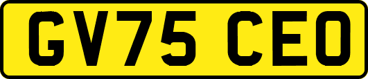 GV75CEO