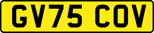 GV75COV