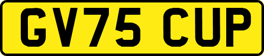 GV75CUP
