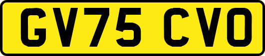 GV75CVO