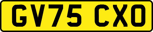 GV75CXO