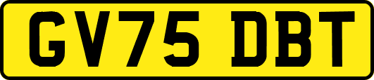 GV75DBT