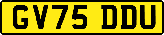 GV75DDU