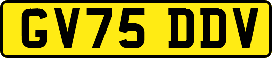GV75DDV