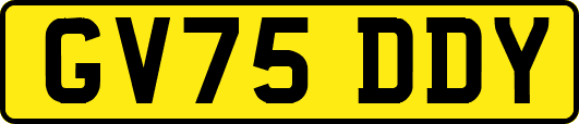 GV75DDY