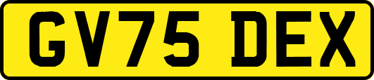 GV75DEX