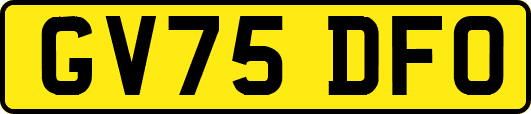 GV75DFO