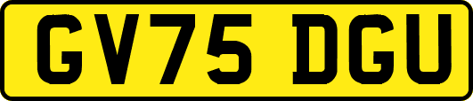 GV75DGU