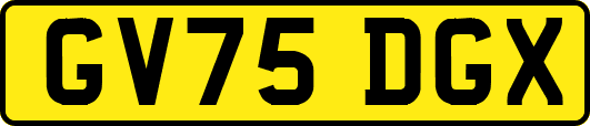 GV75DGX